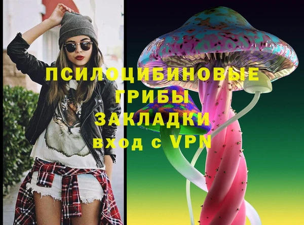 мяу мяу мука Белокуриха